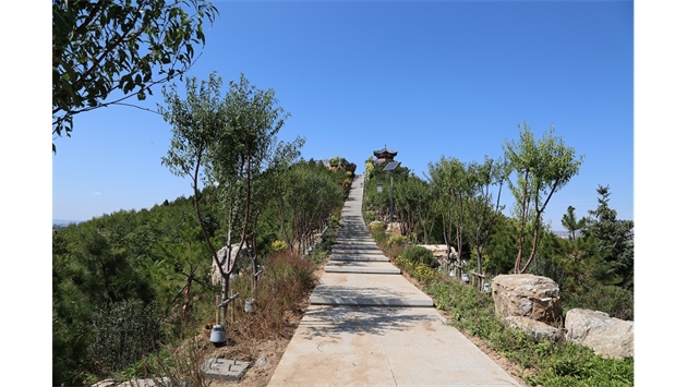 標題：張家口太子山山體修復
瀏覽次數：19228
發表時間：2020-11-12
